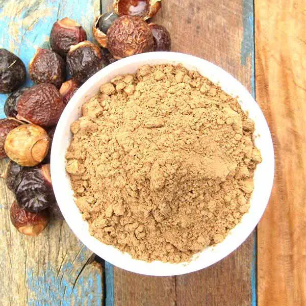 Soapberry Extract Powder