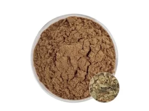 Epimedium Extract Powder
