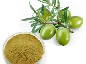 Olive Leaf Extract Powder