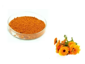 Marigold Extract Lutein Powder