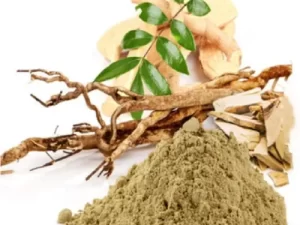 Tongkat Ali Extract Powder