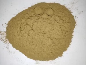 Cyanotis Arachnoidea Extract Ecdysterone Powder